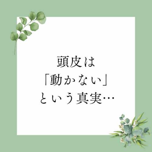 〇〇は 動かないという 真実…